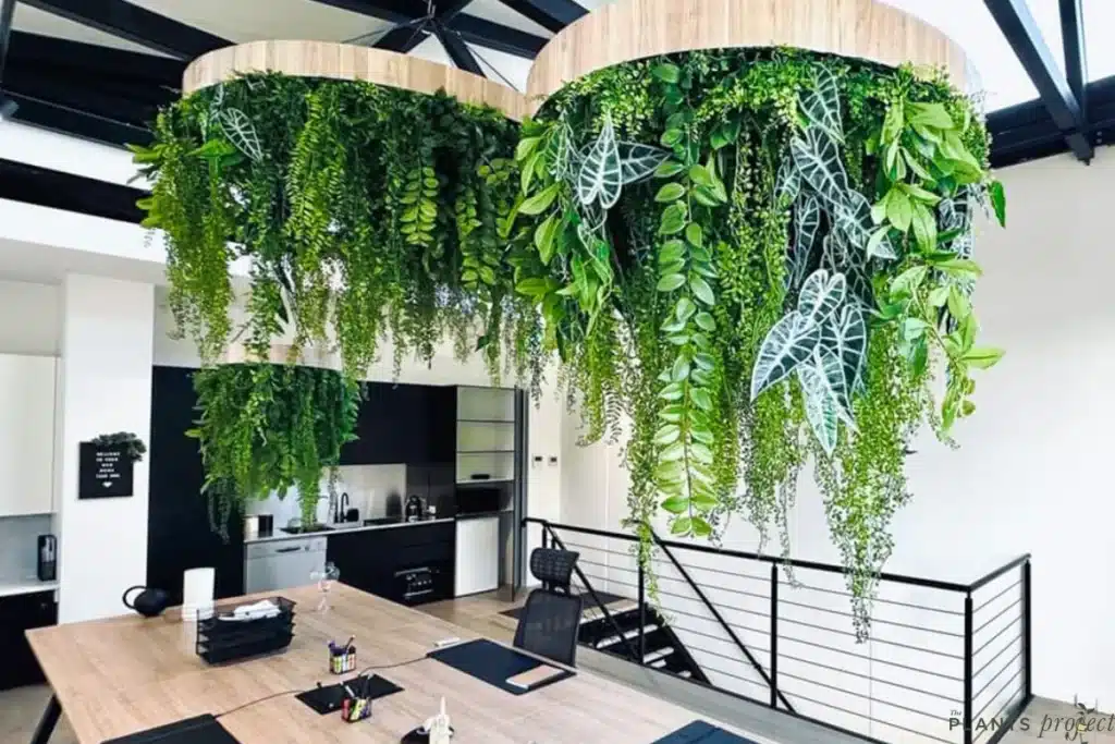 hanging plant in the conference room
